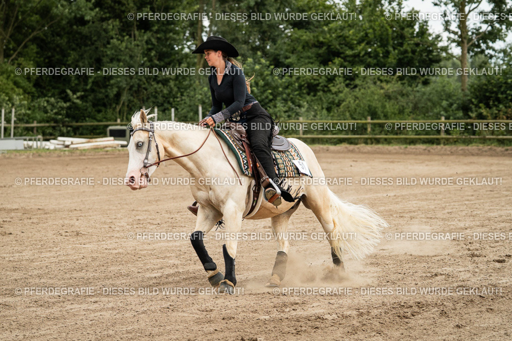 DSC04903 | Pferdegrafie