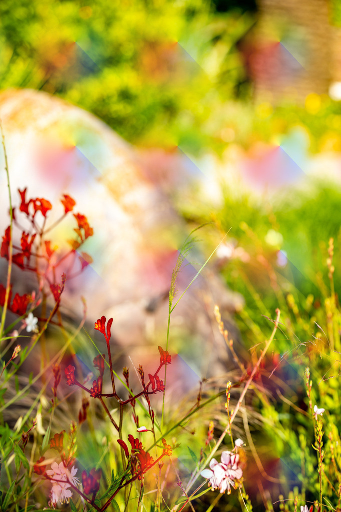 1M5A8876 | FineArtPrint, Hahnemühle, FeeGalerie, Fee Galerie, Fotokunst, Fotografie, Canonphotography, Bergfoto, Matterhorn, Rimpfischhorn, Allalinhorn, Saas-Fee, Wallis, Valais, Switzerland, Bergfotografie