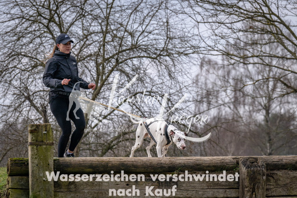 _ZZ91084 | kk-dogfotos