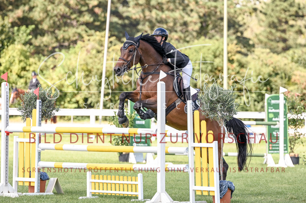 Schugtsche-Düren.2024-09.Springprf.L-205 | Schugtsche Fotografie - Realisiert mit Pictrs.com