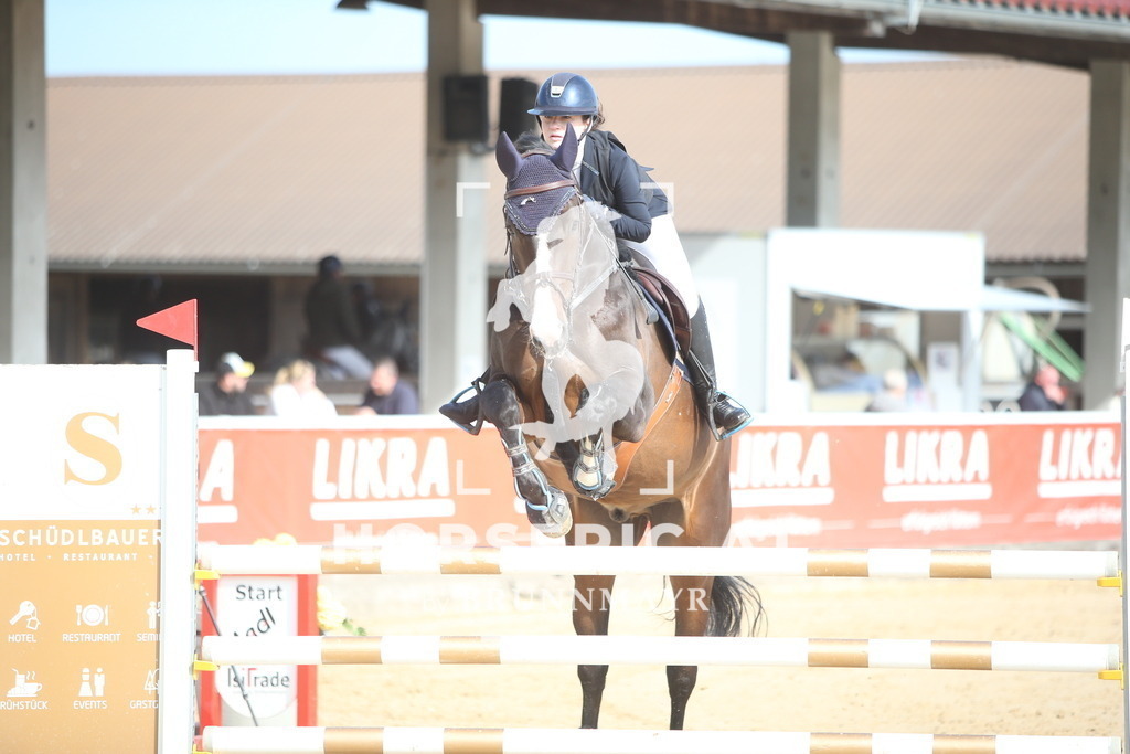 AS8V5811 | Willkommen bei Brunnmayr - Design & Fotografie – Ihrem Spezialisten für Reitturniere und Pferdeveranstaltungen in Oberösterreich, Salzburg und Bayern! Seit über 17 Jahren sind wir leidenschaftlich dabei.