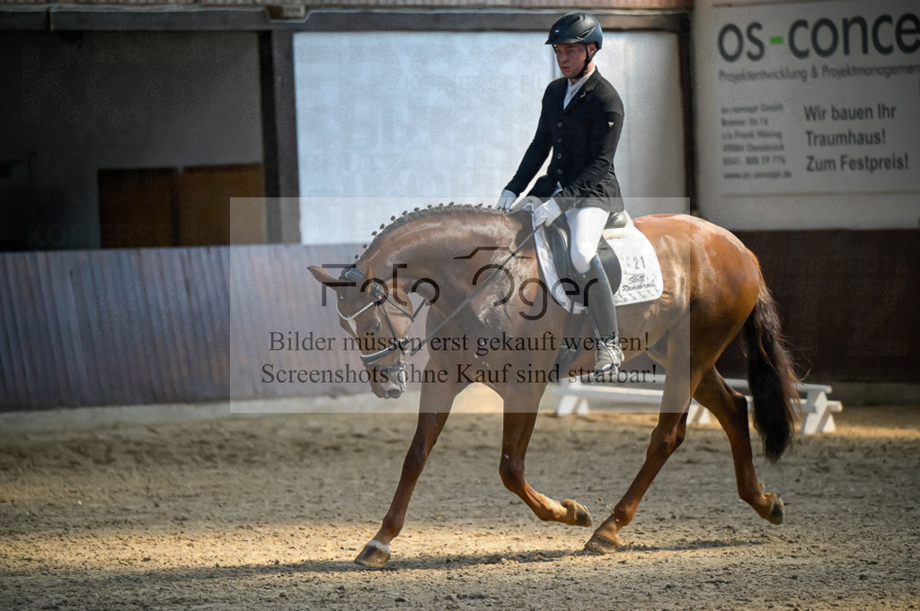 Reitturnier Voxtrup | Entdecke hochwertige Reitturnierfotos von Foto Oger. Professionell, emotional und authentisch – jetzt Lieblingsmomente im Shop bestellen.Deutschlandweite Turnierfotografie. - Realized with Pictrs.com