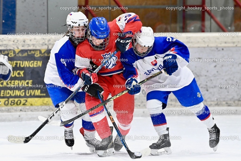 BST_5739 | hockey sports photos, Pressefotos, Sportfotos, hockey247, win 2day icehockeyleague, Handball Austria, Floorball Austria, ÖVV, Kärntner Eishockeyverband, KEHV, KFV, Kärntner Fussballverband, Österreichischer Volleyballverband, Alps Hockey League, ÖFB, 