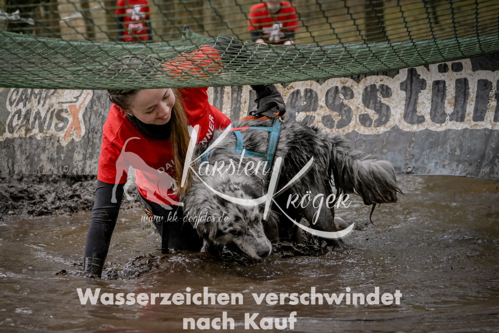 1009_ZZ99947 | kk-dogfotos