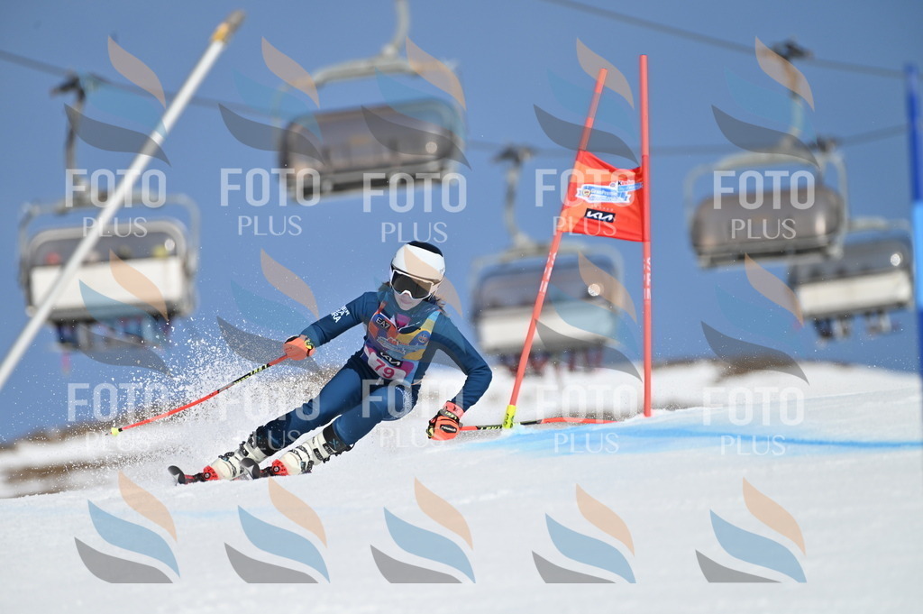 BGV_9039 | holidayphoto