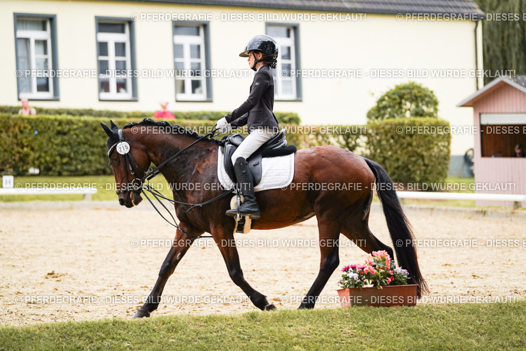 DSC00493 | Pferdegrafie