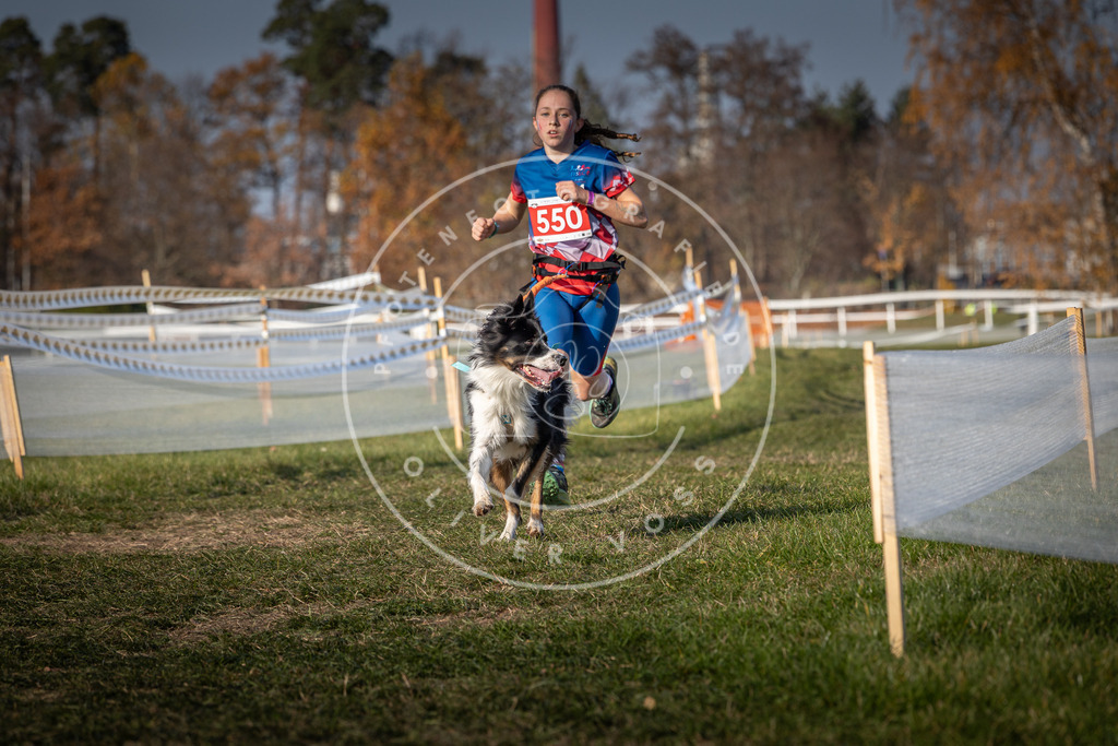 CaniXpix_0L8A9108 | Hundefotografie, Tierfotograf, Pfotenfotografie, Fotoshooting Hund, Hunde Portrait, Hundesport, Hundeportraits, Heideshooting, Hunde, Sportfotograf, Hundefotograf, Turnierhundsport, THS,  - Realisiert mit Pictrs.com