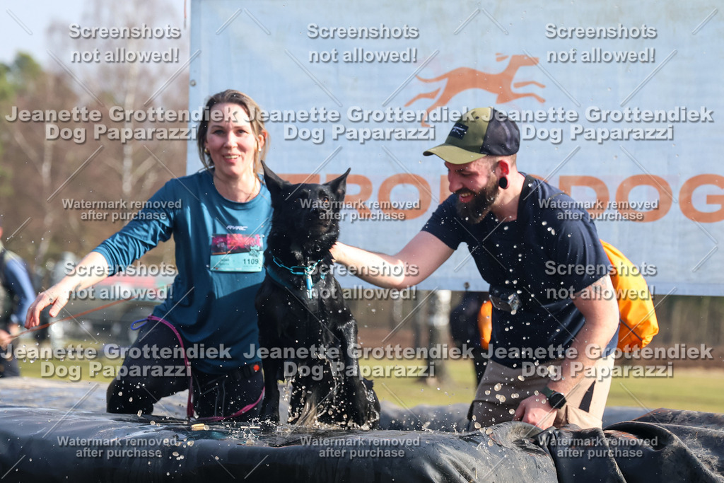 Dog Paparazzi - Strongdog North Mrz26-1699 | Dog Paparazzi Jeanette Grottendiek Fotografie & Videografie - Realisiert mit Pictrs.com