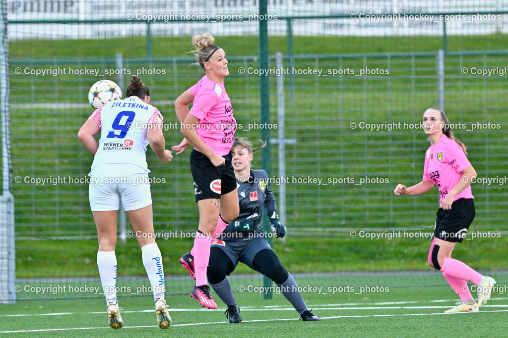 Liwodruck Carinthians Hornets vs. FK Austria Wien Frauen 19.11.2023 | #9 Alisa Ziletkina, #27 Jasmin Michelle Ortner, #1 Anja Meier, #29 Selina Tamara Selinger