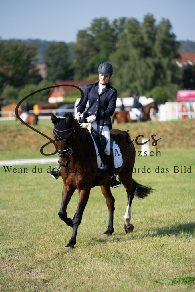 A7V09355 | Pferdefotograf