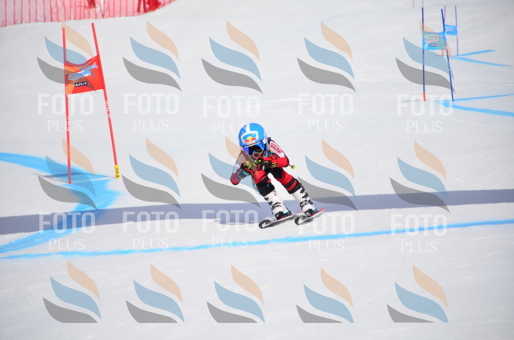 VR4_6889 | holidayphoto