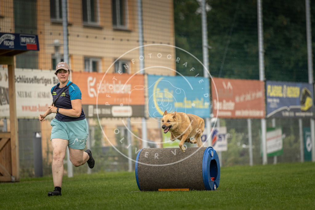 Pfotenfotografie_DV3A4698 | Hundefotografie, Tierfotograf, Pfotenfotografie, Fotoshooting Hund, Hunde Portrait, Hundesport, Hundeportraits, Heideshooting, Hunde, Sportfotograf, Hundefotograf, Turnierhundsport, THS,  - Realisiert mit Pictrs.com