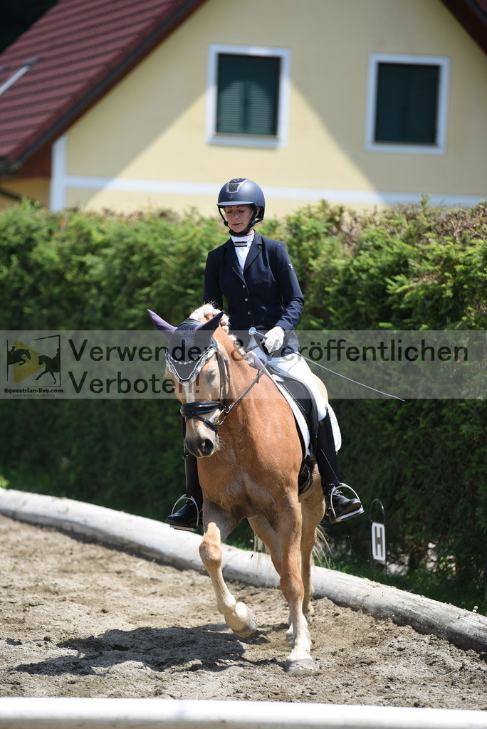 DSC_9764 | equestrian-live-com