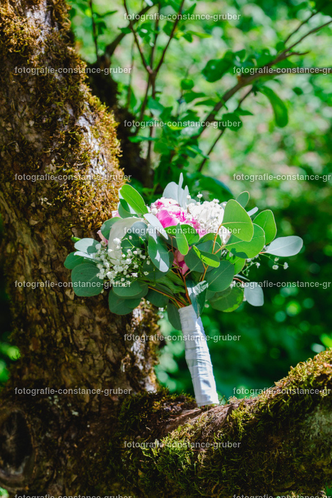 1009 | Fotografie Constance Gruber - Realisiert mit Pictrs.com