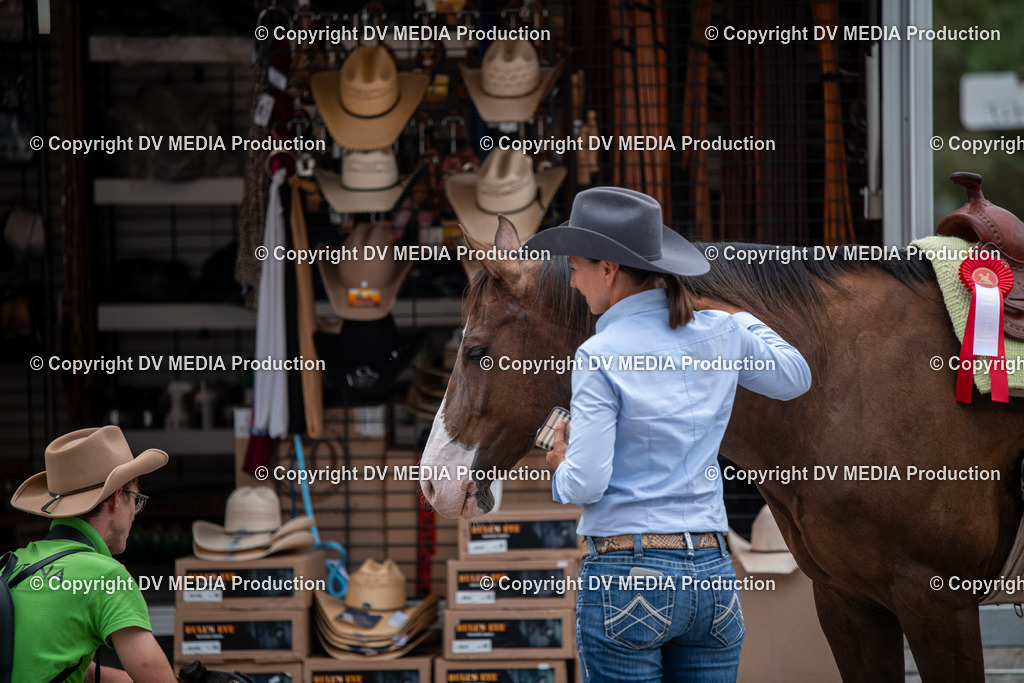 ZS2_7811 | dv-media-shop - Realisiert mit Pictrs.com