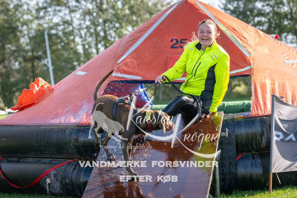 1157-92417 | kk-dogfotos