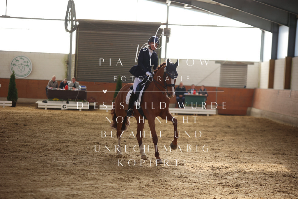 IMGT9758 | pl-fotografie