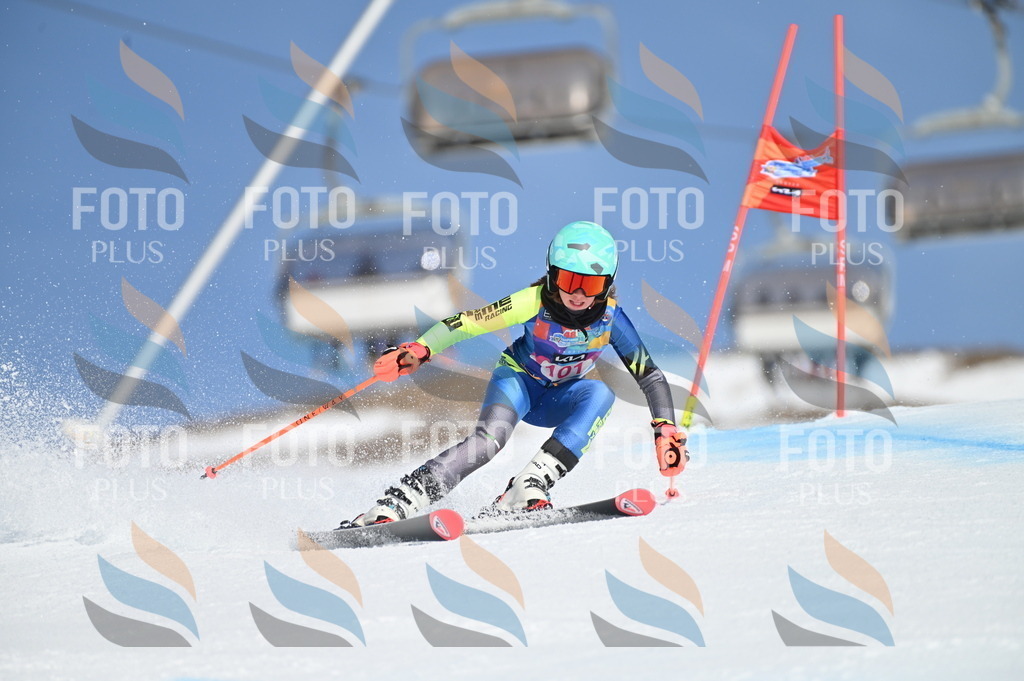 BGV_9467 | holidayphoto