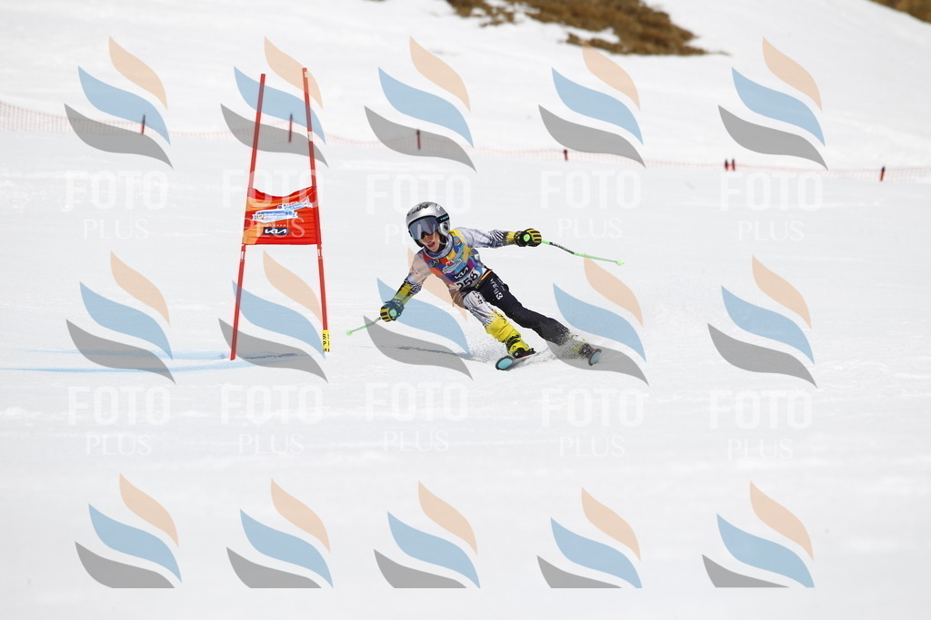 _U3G6471 | holidayphoto