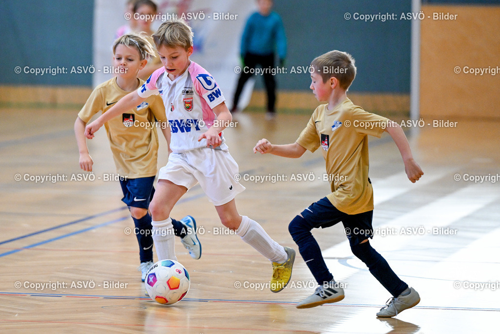ASVÖ_ Fussballturnier SV Gallneukirchen_ 09.02.2025-29 | 09.02.2025, Gallneukirchen, AUT, ASVÖ, Fussball Nachwuchs Hallenturnier 2025, SV Gallneukirchen im Bild Teilnehmer U 9©Harald Dostal / fodo.media - Realisiert mit Pictrs.com
