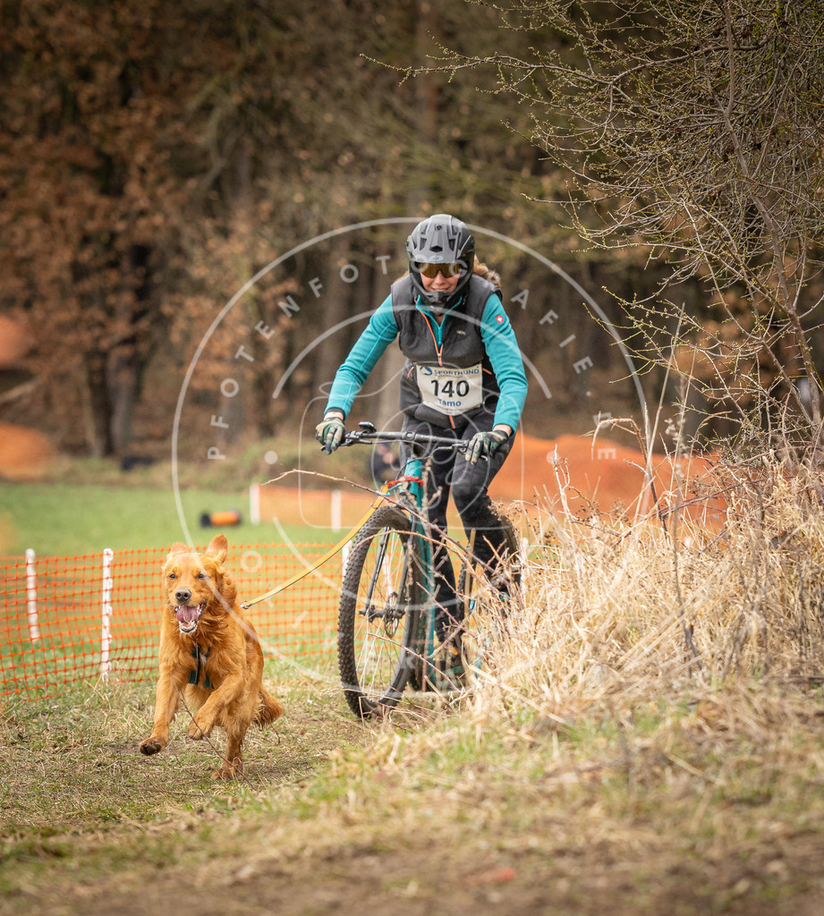 DV3A1572 | Hundefotografie, Tierfotograf, Pfotenfotografie, Fotoshooting Hund, Hunde Portrait, Hundesport, Hundeportraits, Heideshooting, Hunde, Sportfotograf, Hundefotograf, Turnierhundsport, THS,  - Realisiert mit Pictrs.com