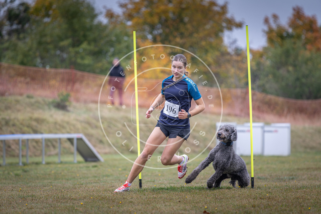 Pfotenfotografie_DV3A1055 | Hundefotografie, Tierfotograf, Pfotenfotografie, Fotoshooting Hund, Hunde Portrait, Hundesport, Hundeportraits, Heideshooting, Hunde, Sportfotograf, Hundefotograf, Turnierhundsport, THS,  - Realisiert mit Pictrs.com