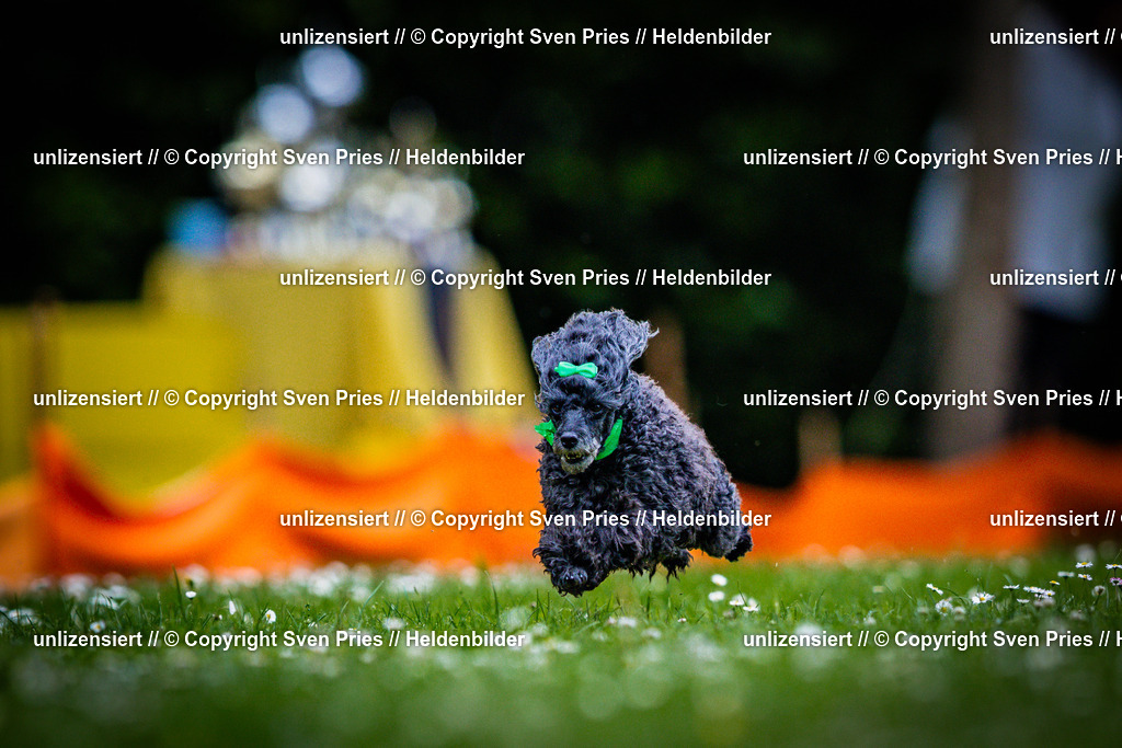 Sven Pries | 2025-05-29 - Pudelrennen KA-Durlach - Realisiert mit Pictrs.com