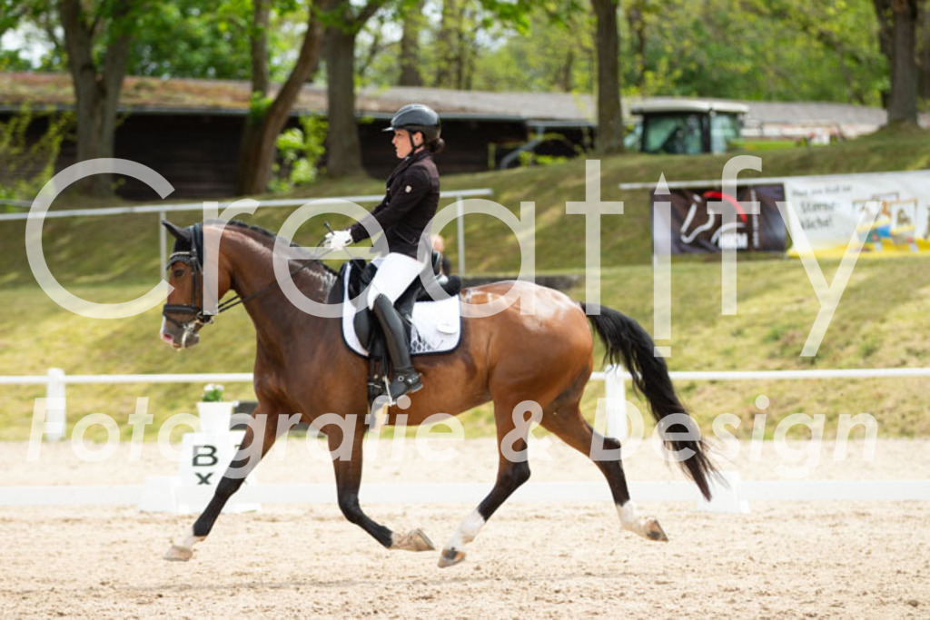 IMG_2818 | Creatify Fotografie