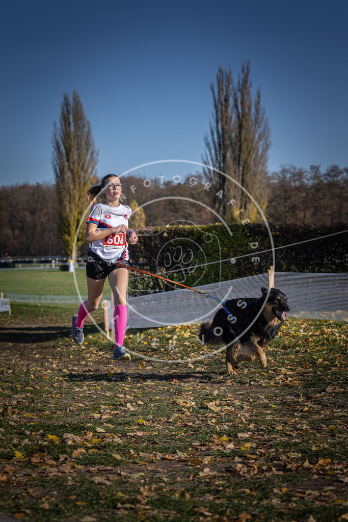 CaniXpix_DV3A9649 | Hundefotografie, Tierfotograf, Pfotenfotografie, Fotoshooting Hund, Hunde Portrait, Hundesport, Hundeportraits, Heideshooting, Hunde, Sportfotograf, Hundefotograf, Turnierhundsport, THS,  - Realisiert mit Pictrs.com