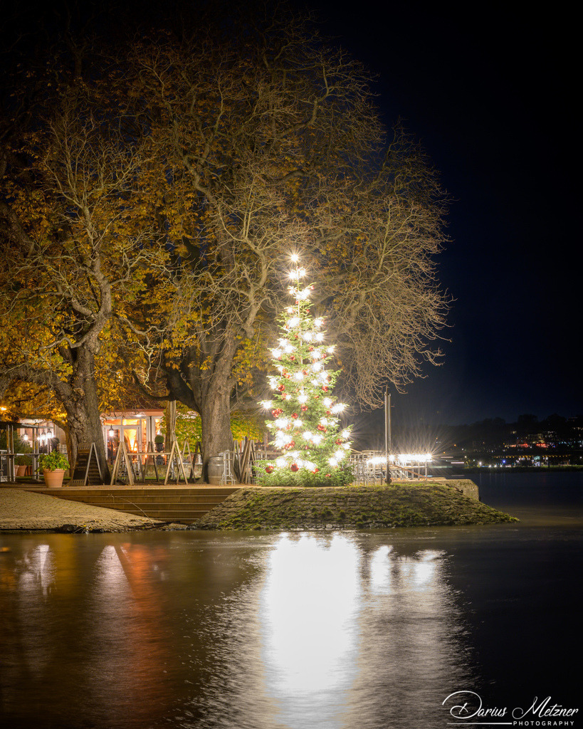 Weihnachten in Mainz am Rhein | Weihnachten in Mainz am Rhein