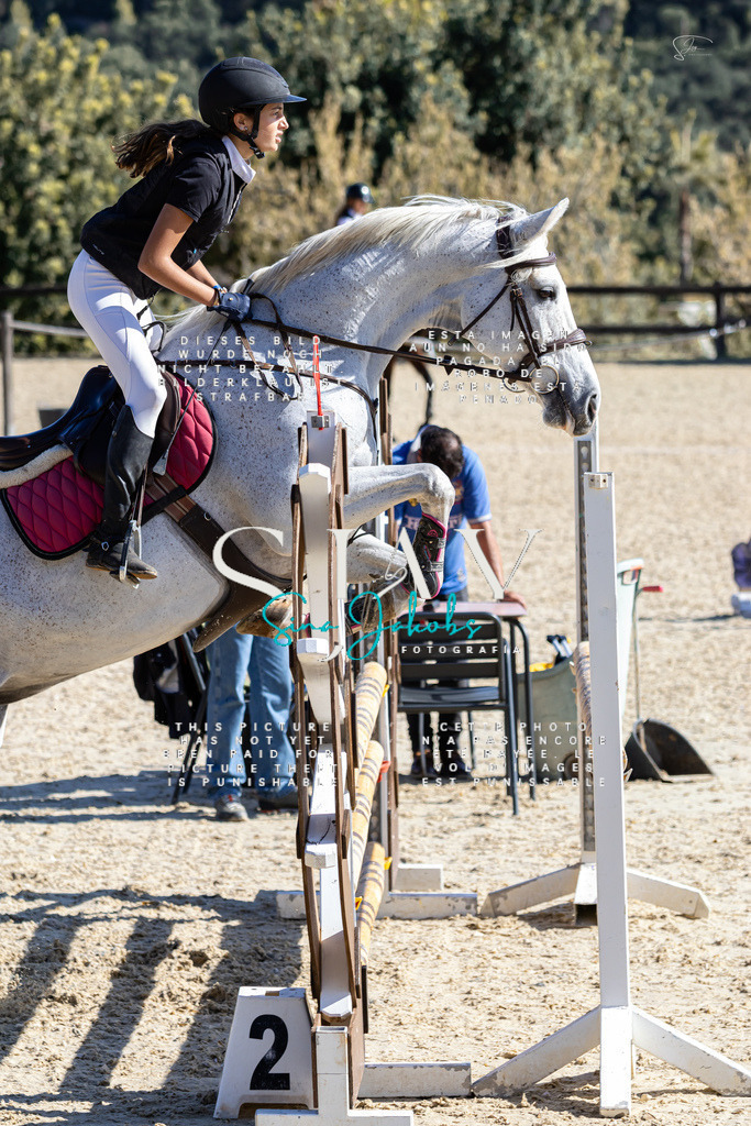 IMG_6527 | s-jay-photography - Realisiert mit Pictrs.com