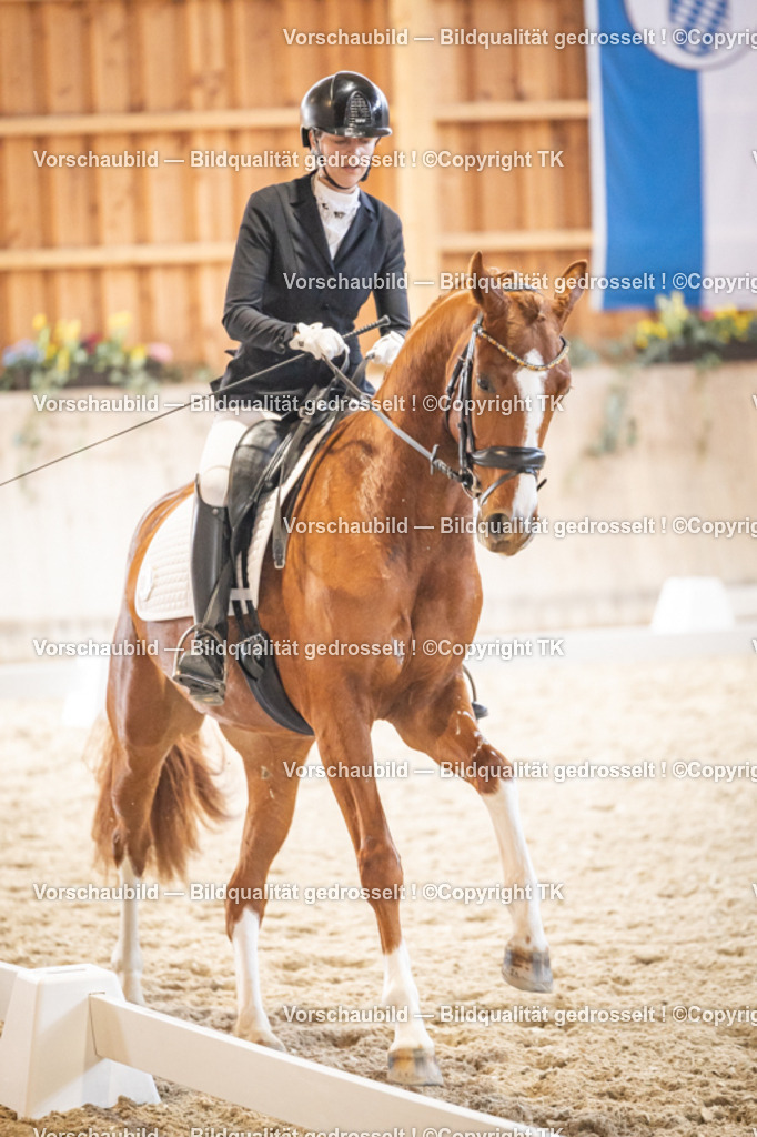 _D5A8625 | Emotionale Pferde- & People-Fotografie rund um Heidelberg, Leimen & Umgebung. Natürliche Fotos von Pferd, Mensch & Familie. Jetzt Termin sichern!