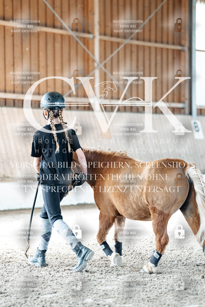 CK905245 | Turnierfotografie Pferdefotografie Trier Rheinland-Pfalz Pferdesport Reitsport Tierfotografie Sportfotografie Pferdevideo Pferdevideografie Equestrianvideography equestrianphotography  - Realisiert mit Pictrs.com