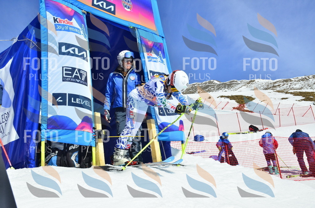 _ELE0748 | holidayphoto