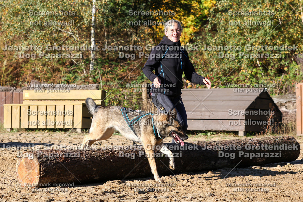 Dog Paparazzi - Strongdog 10-25-1729 | Dog Paparazzi Jeanette Grottendiek Fotografie & Videografie - Realisiert mit Pictrs.com