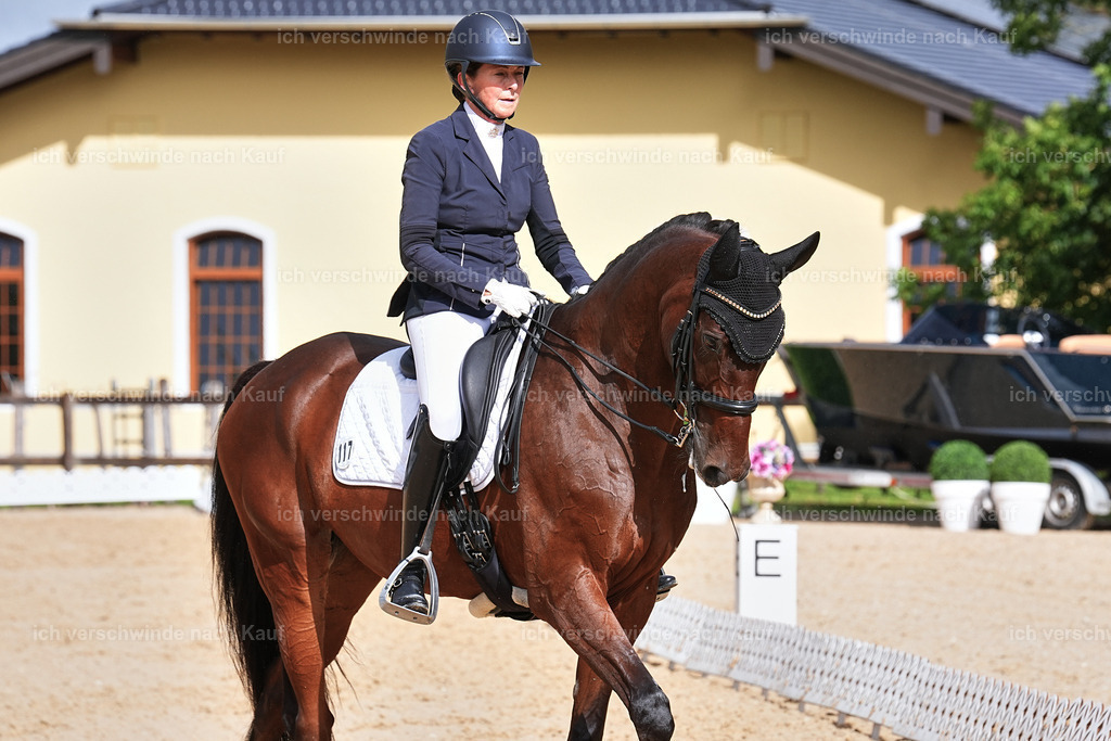 05-117-DRESSUR M_  -Marixx-4978 | working equitationturnier fotograf videograf stoibphotography marixx film working equitation deutschland reitsport turnierfotografie eventfotografie equestrian events