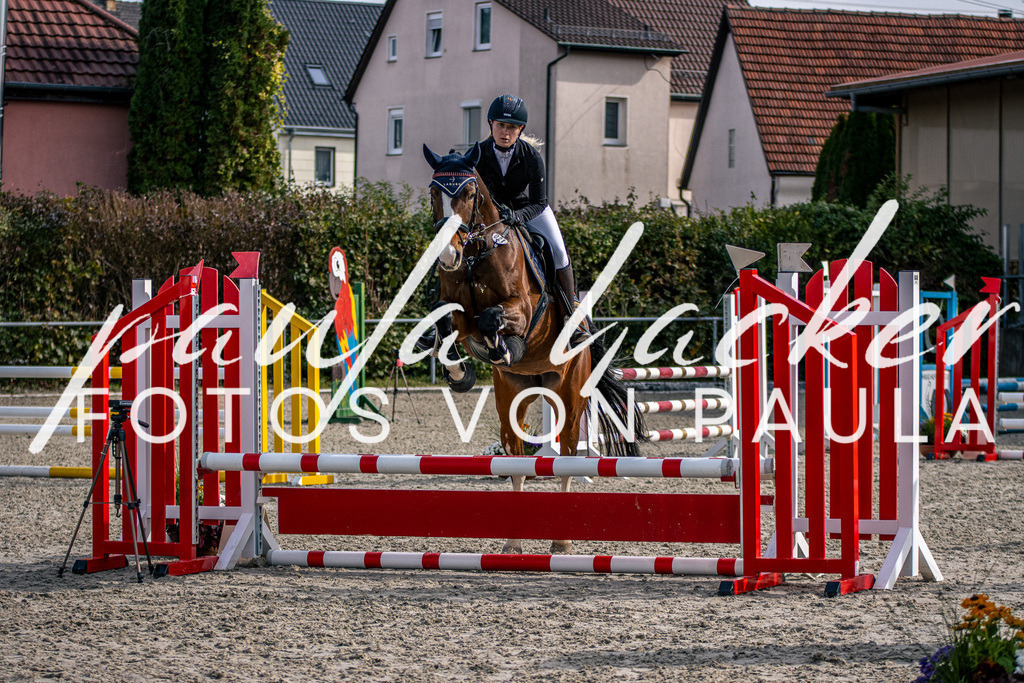 IMG_5445 | Erleben Sie dynamische Sport- und emotionale Tierfotografie in Süddeutschland mit Fotos von Paula. Spezialisiert auf Pferde- und Hundefotografie sowie Sportevents. Kontaktieren Sie mich für einzigartige und ausdrucksstarke Bilder Ihrer besonderen Momente. - Realisiert mit Pictrs.com