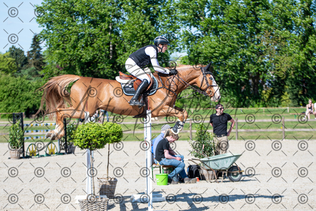 KPT_1617 | andre_photographic