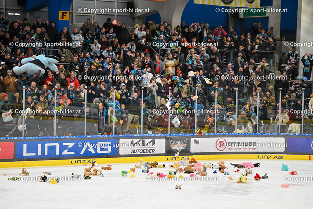 AUT, ICE, Black Wings Linz (AUT) vs HCB Suedtirol Foxes (ITA) | 06.12.2024, Eishalle Linz, AUT, ICE Eishockey Liga, Black Wings Linz (AUT) vs HCB Suedtirol Foxes (ITA), im Bild Fans of Steinbach Black Wings Linz and Teddybear Toss// ICE win2day Hockey League Match between Black Wings Linz (AUT) vs HCB Suedtirol Foxes (ITA) in Linz, Austria on 2024/12/06