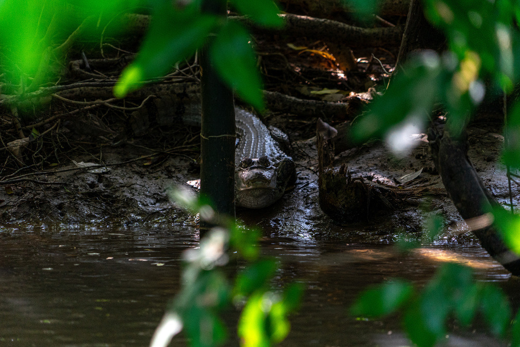 20251118-DeltaTour-0036 | paulependelt - Realisiert mit Pictrs.com