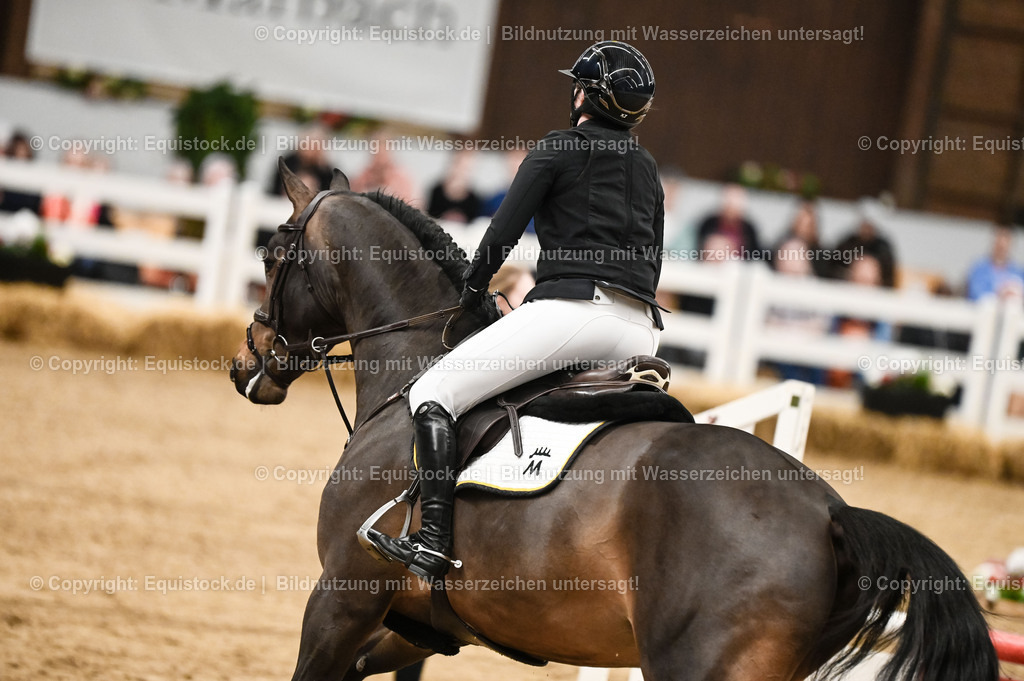 20260307_Hengstvorstellung-Marbach_0123 | equistock