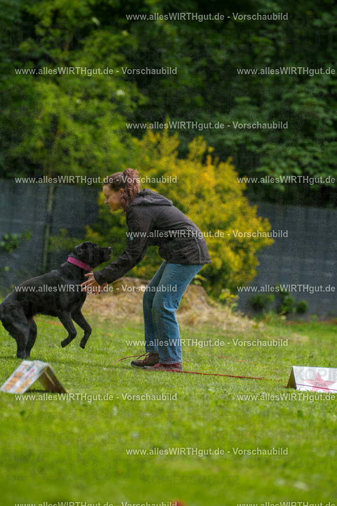 @allesWIRTHgut_Tierfotografie - www.allesWIRTHgut.de - 101729-7R508312 | Professionelle Tierfotografie in Mönchengladbach von Daniel Wirth (allesWIRTHgut). Liebevolle & natürliche Bilder von Hunden & Katzen für unvergessliche Erinnerungen.