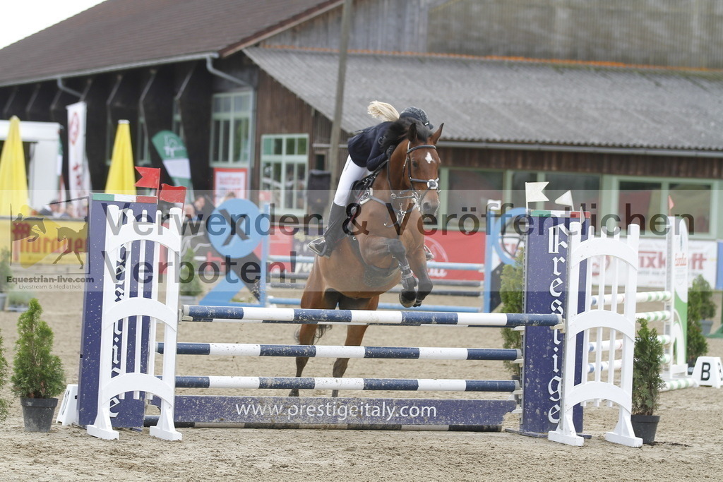 _MG_2094 | equestrian-live-com