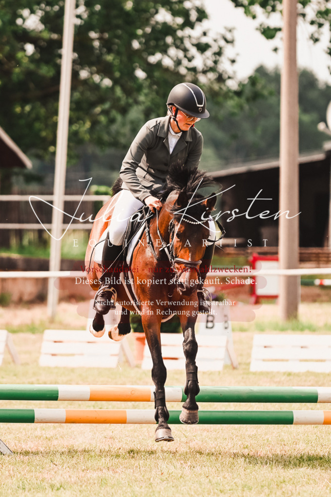 DSC_6908 | Pferde- und Turnierfotografie in Westsachsen. Pferdeportraits, Auftragszeichnungen und intuitive Kunst.