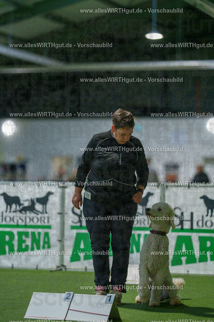 7R505515 | Professionelle Tierfotografie in Mönchengladbach von Daniel Wirth (allesWIRTHgut). Liebevolle & natürliche Bilder von Hunden & Katzen für unvergessliche Erinnerungen.