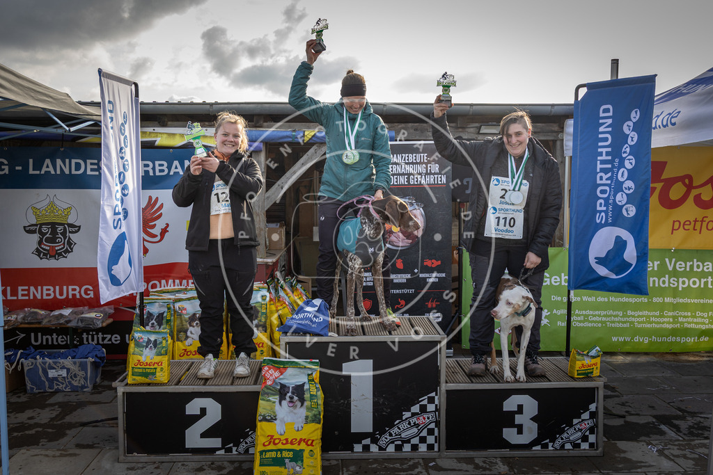 0L8A9204 | Hundefotografie, Tierfotograf, Pfotenfotografie, Fotoshooting Hund, Hunde Portrait, Hundesport, Hundeportraits, Heideshooting, Hunde, Sportfotograf, Hundefotograf, Turnierhundsport, THS,  - Realisiert mit Pictrs.com