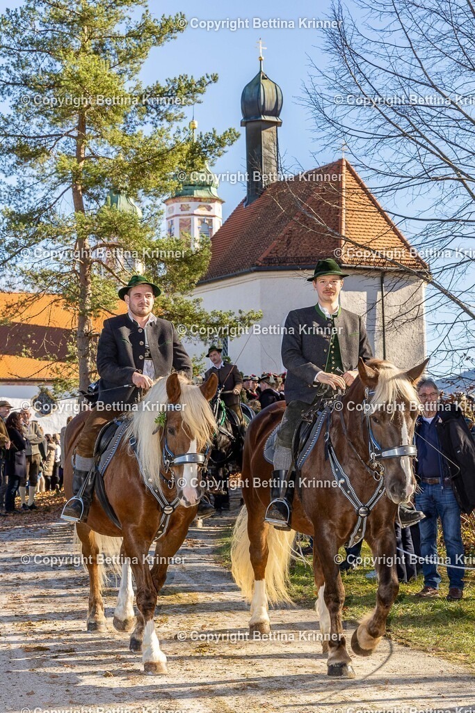 LBT25-1347 | foto-bettina-krinner - Realisiert mit Pictrs.com