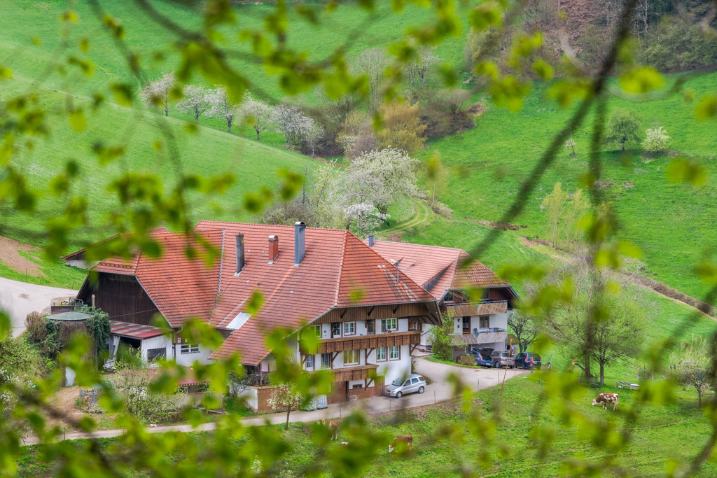 Prinzbachhof | Wie gemalt, der Prinzbachhof durch die Frühlingszweige - Realisiert mit Pictrs.com