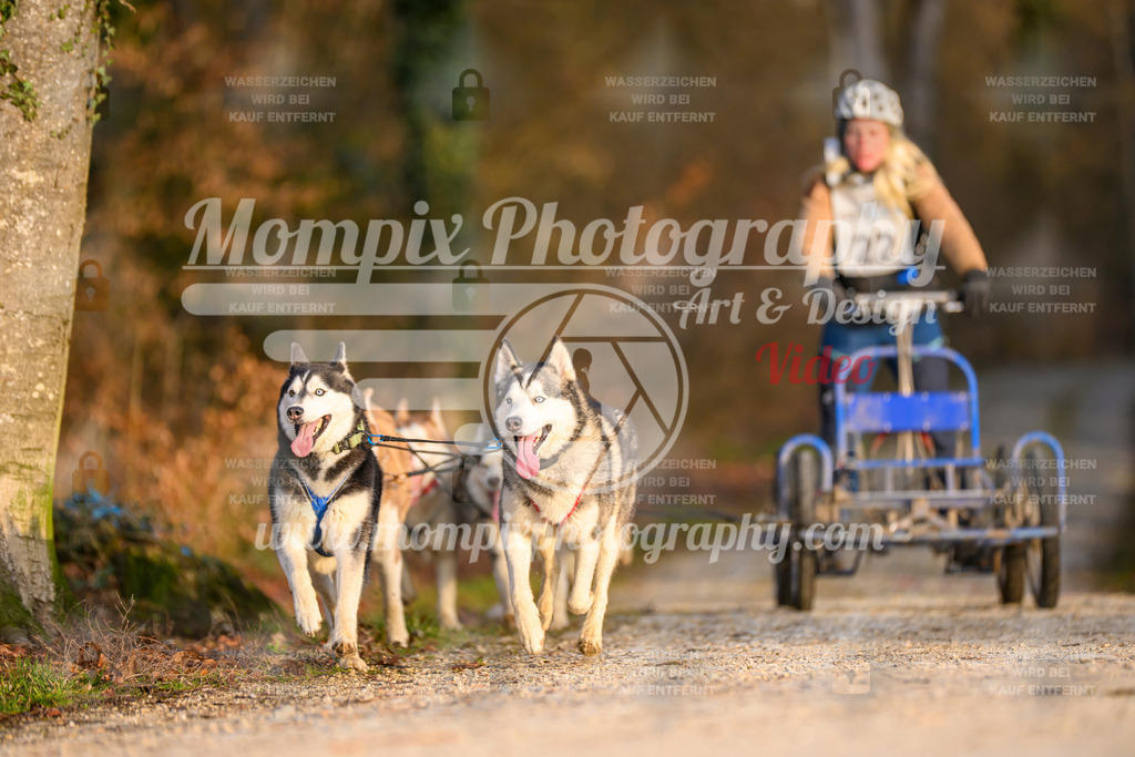 MompixPhotography_6ReiatRennen2026_SO_Kart-15 | PayLife