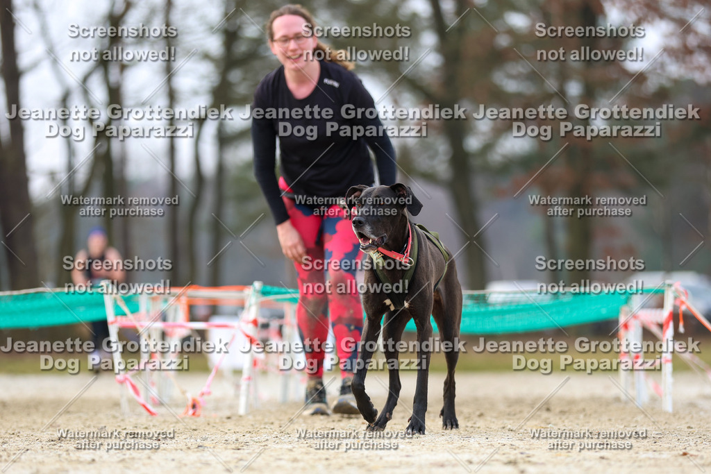 Dog Paparazzi - Strongdog North Mrz26-4095 | Dog Paparazzi Jeanette Grottendiek Fotografie & Videografie - Realisiert mit Pictrs.com